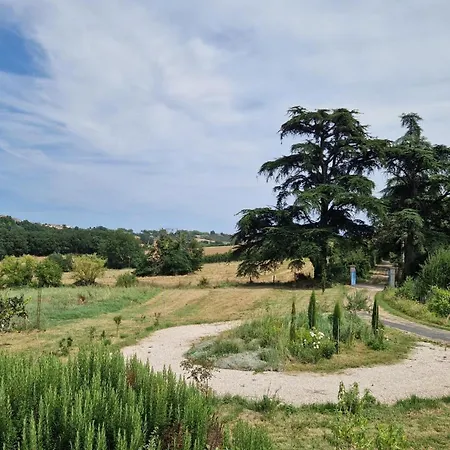 Aux Roses De Cedres Savane