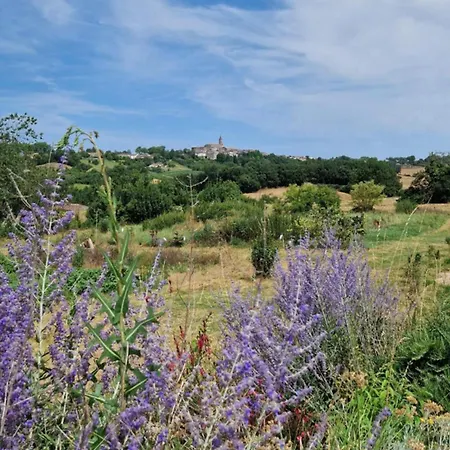 Aux Roses De Cedres Savane Salvagnac
