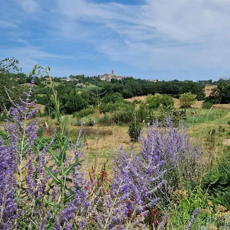 Aux Roses De Cedres Savane Salvagnac