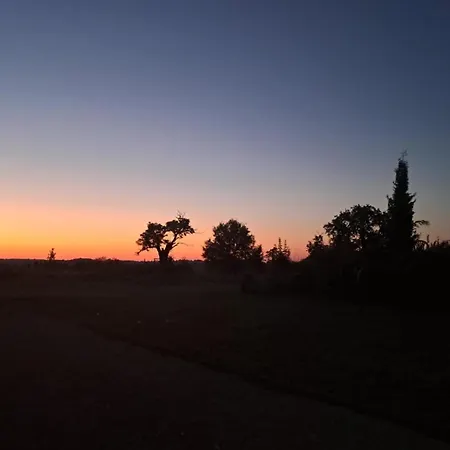 Bed & Breakfast Aux Roses De Cedres Salvagnac