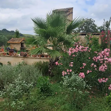Aux Roses De Cedres Bed & Breakfast